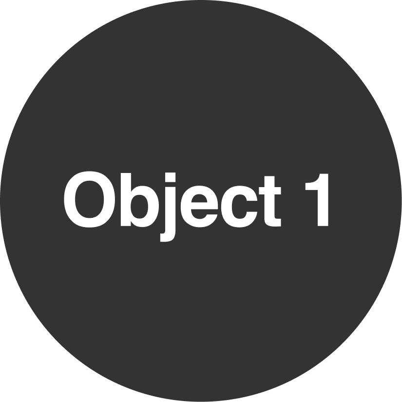 developer