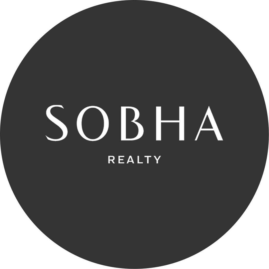 developer